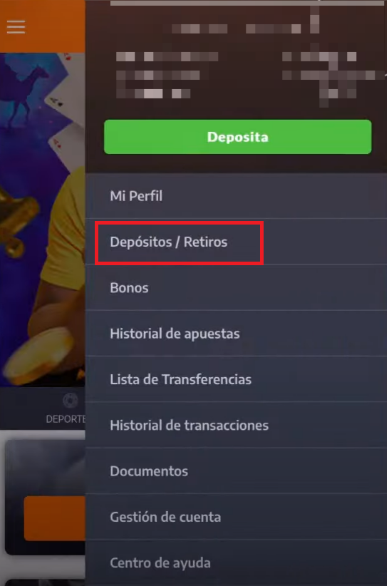 Opción “Depósitos / Retiros” en el menú lateral