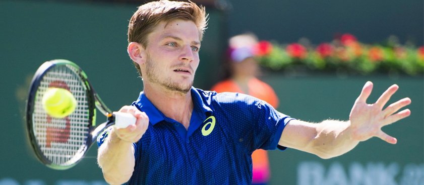 Теннис. Ник Киргиос - Давид Гоффин. Прогноз Дмитрия Артюшина