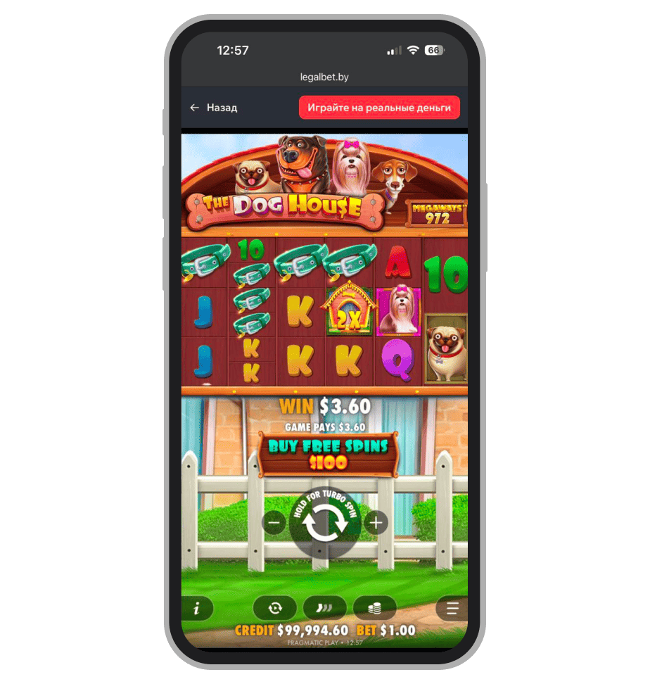 The Dog House Megaways