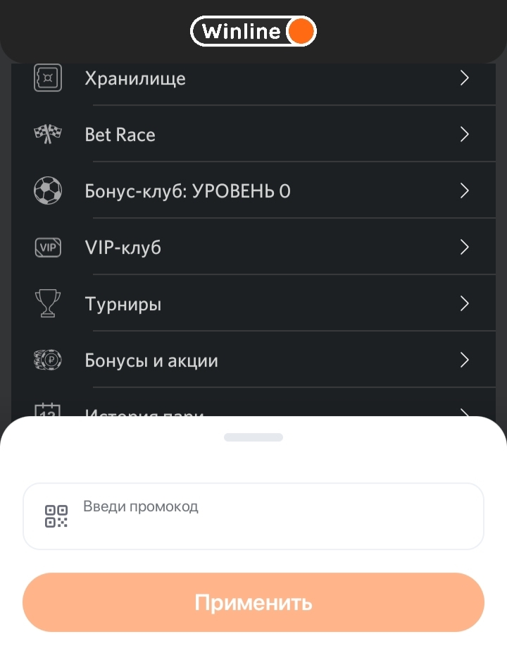 Поле для ввода промокода в личном кабинете мобильного приложения «Винлайн»