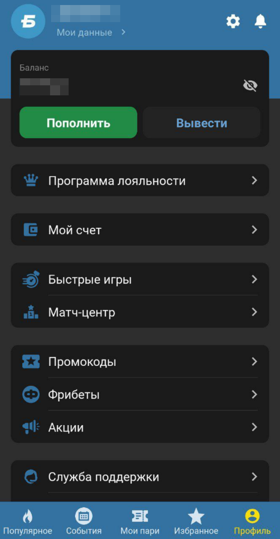 Личный профиль в приложении «Бетсити»