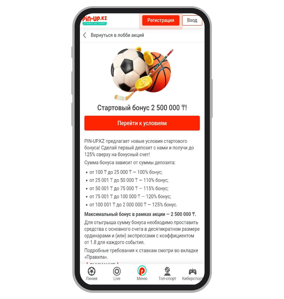 Стартовый бонус 2 500 000 от Pin Up
