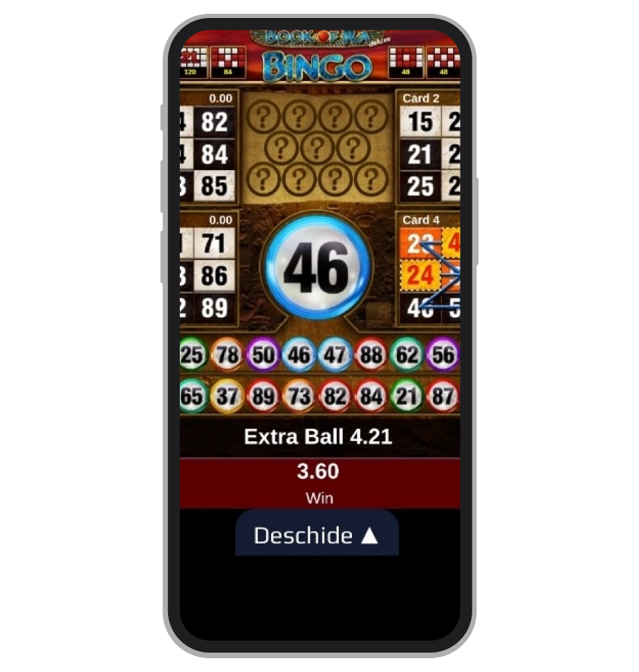 Book of Ra Bingo la NetBet