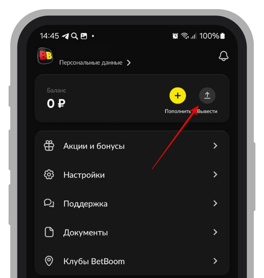 Кнопка «Вывести»