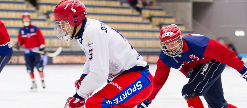 Норвегия – Нидерланды: прогноз на хоккей с мячом от Arkadiy_bets