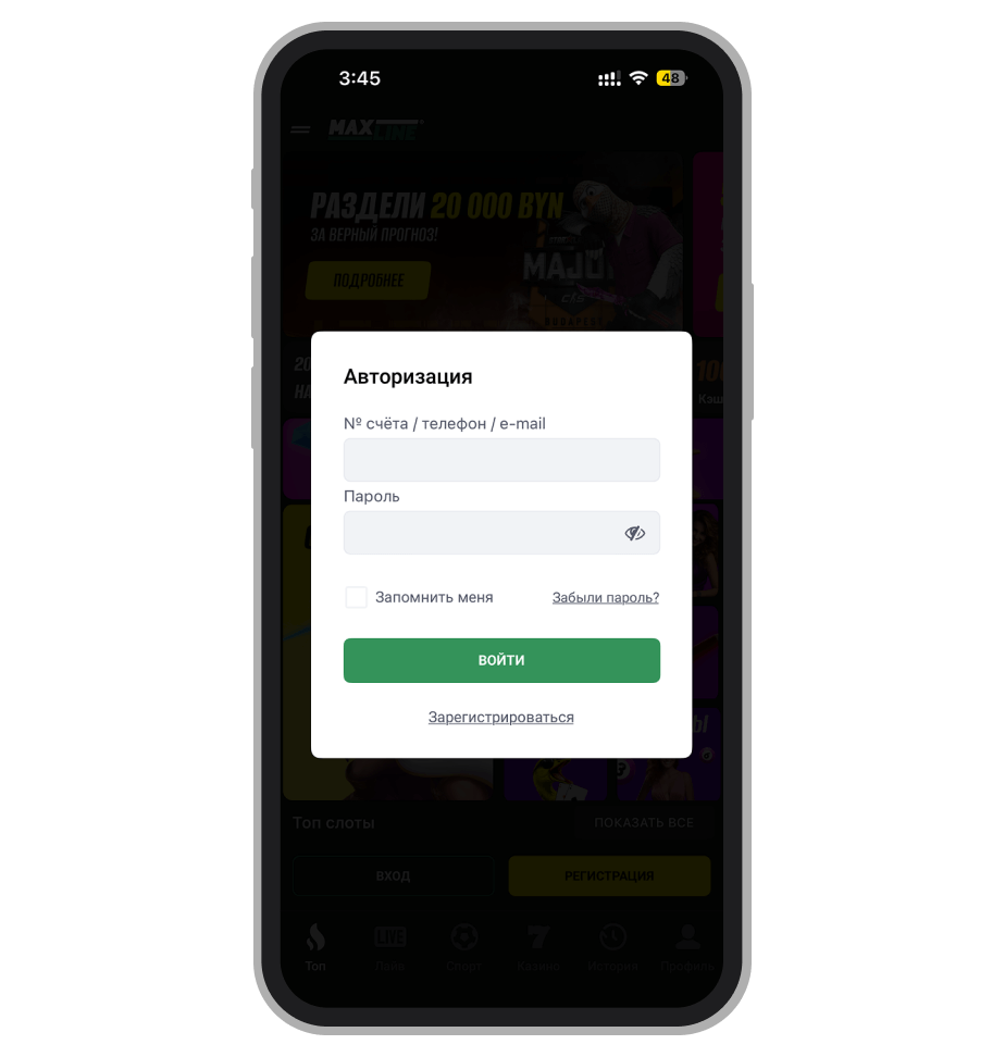 Окно авторизации