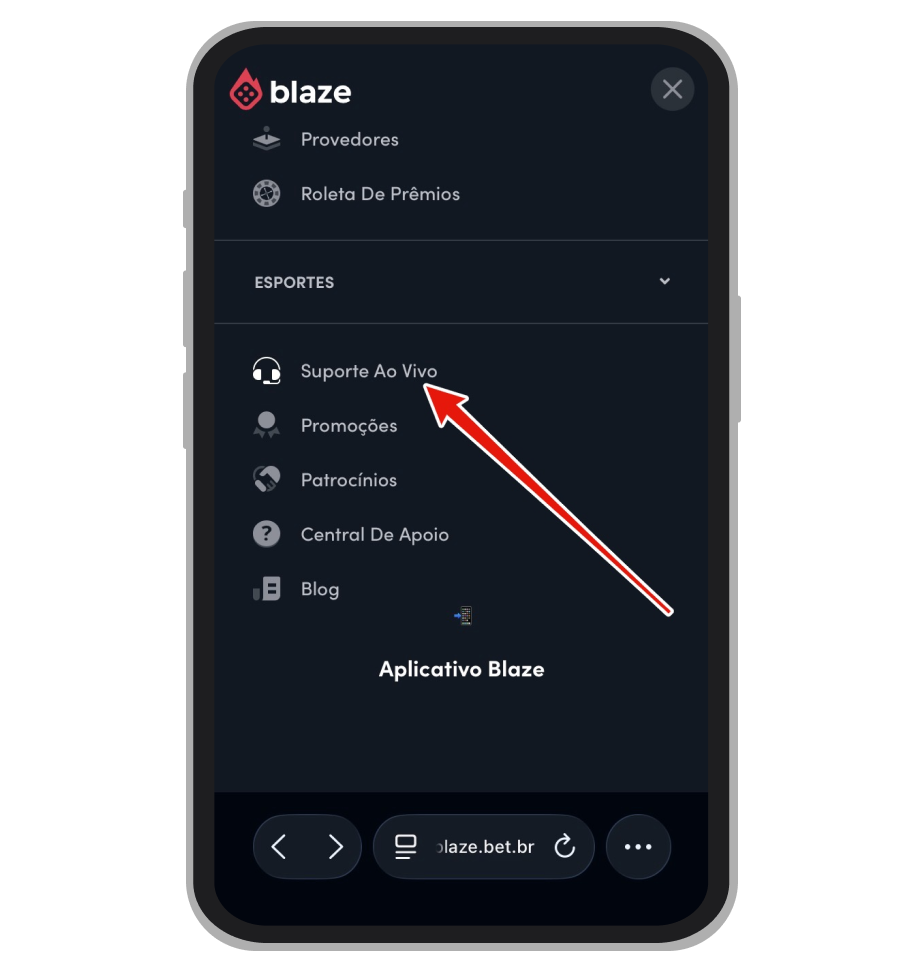 Acesso ao suporte da Blaze