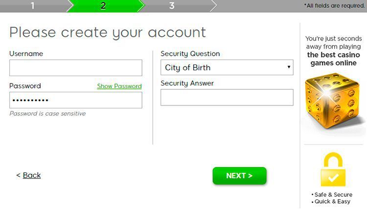 Fill in your username and password and choose a security question