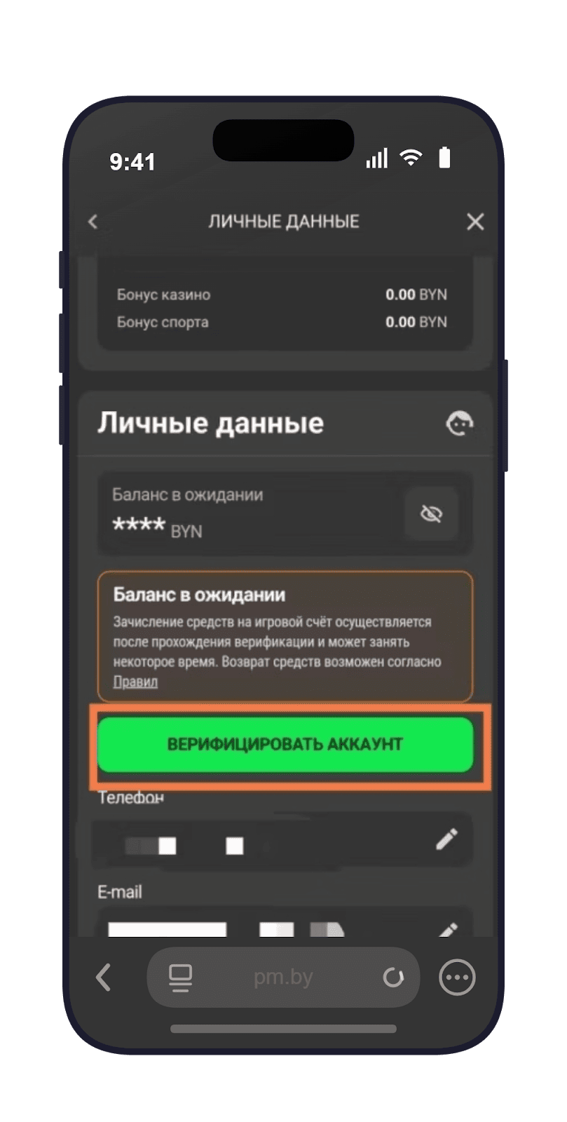 Страница верификации