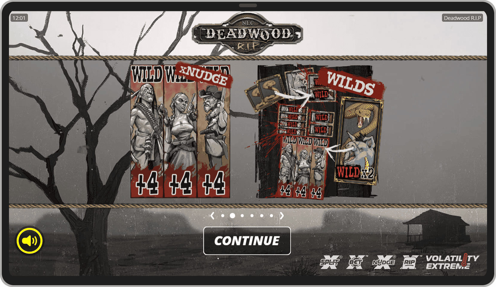 Ecranul de introducere