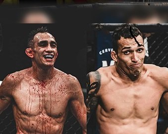 Единоборства. Смешанные боевые искусства