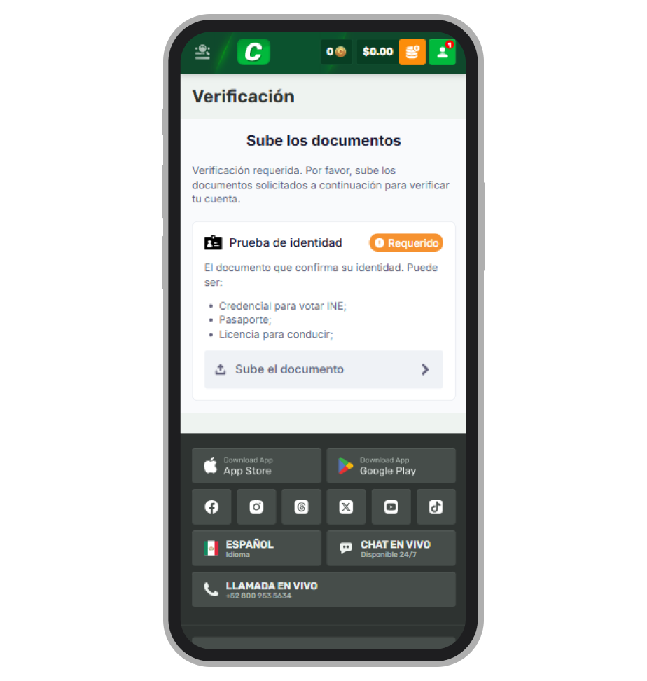 Instrucciones de verificación