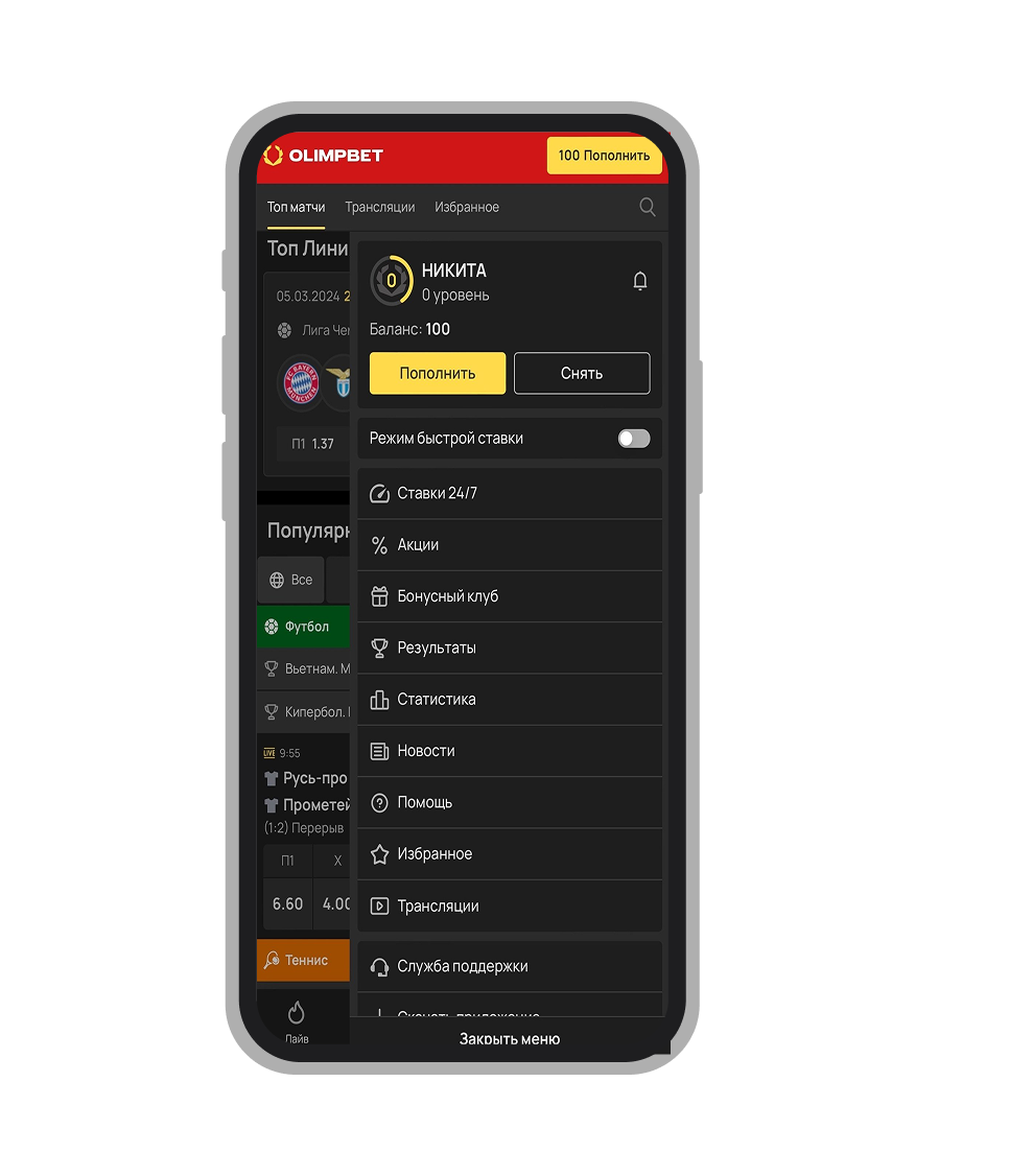 Меню профиля на сайте