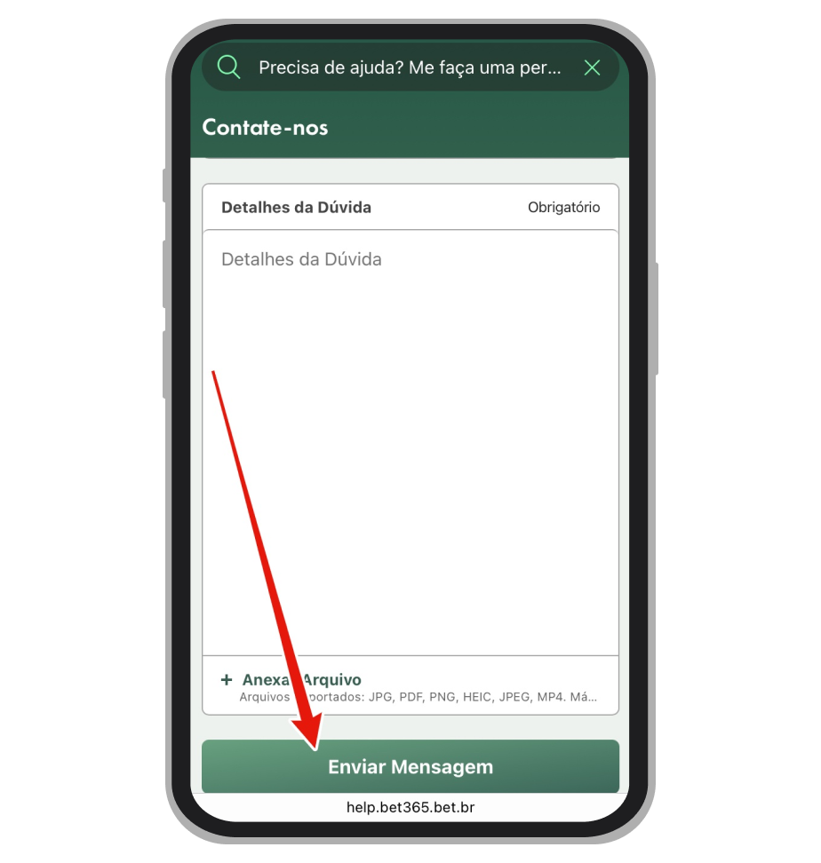 Botão "Enviar Mensagem"