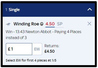 A horse racing single bet.