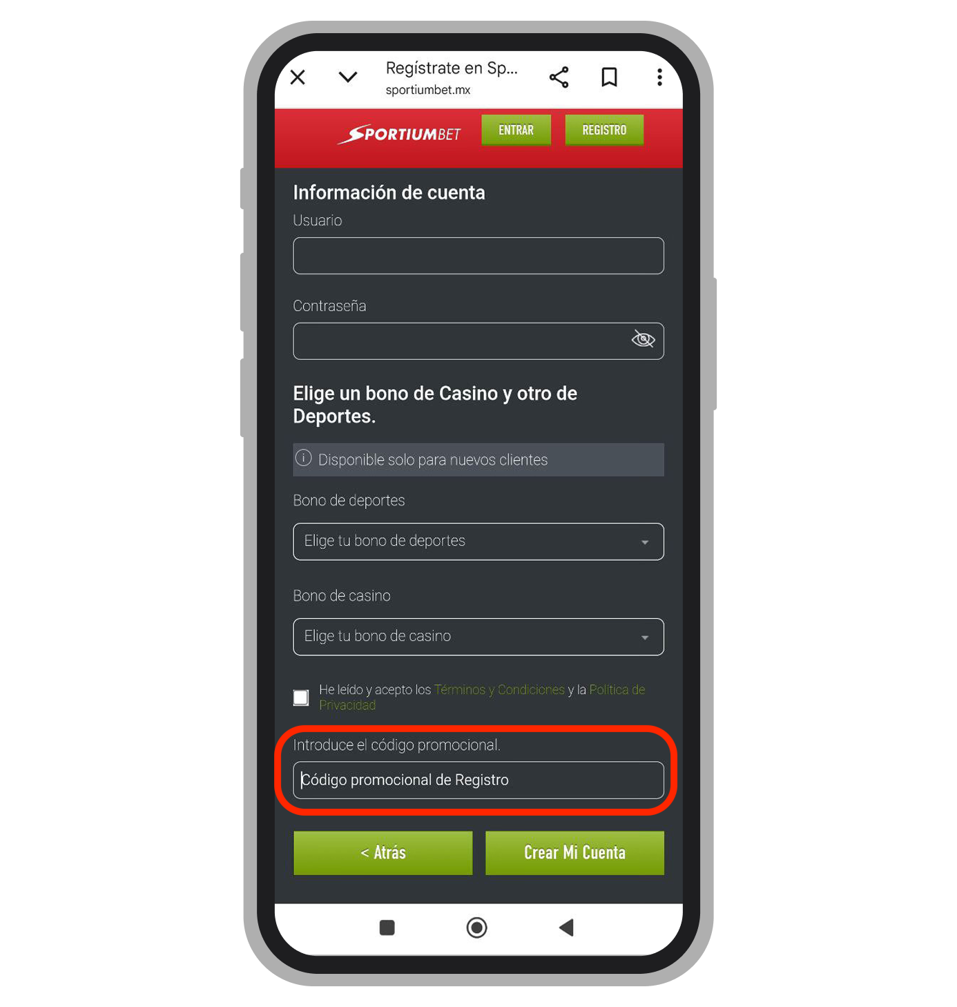Ventana de registro. Etapa 3