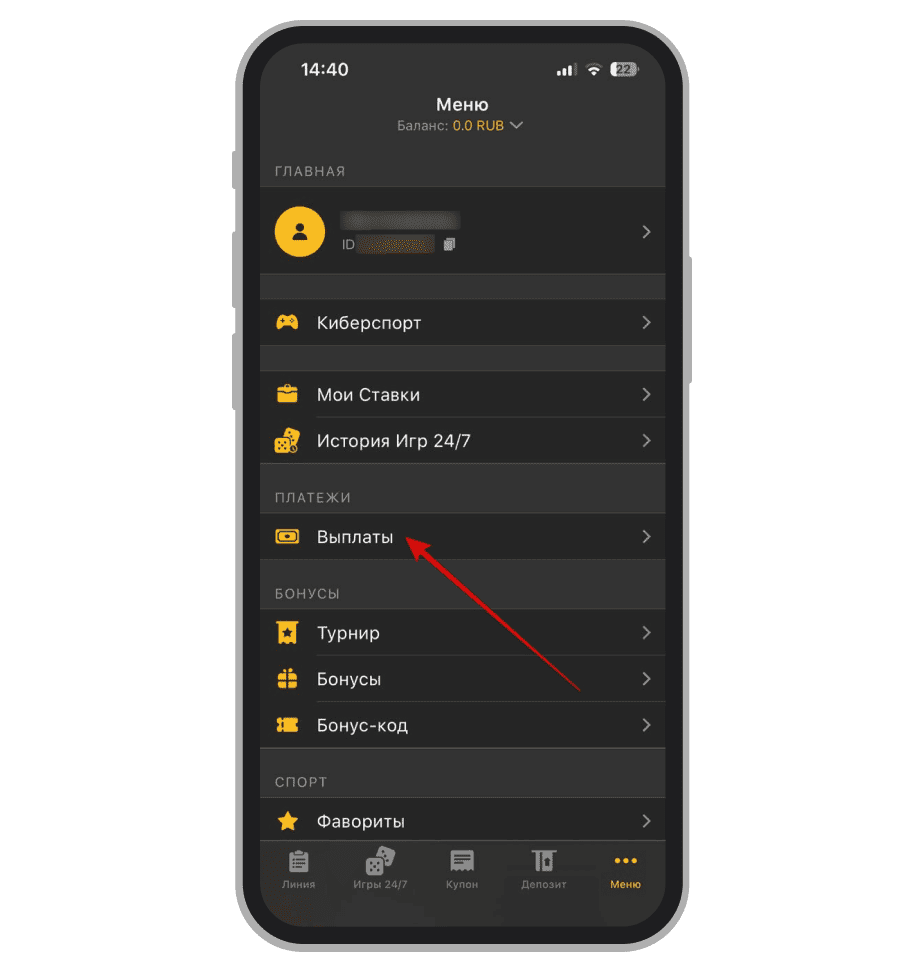 Раздел для заказа выплаты