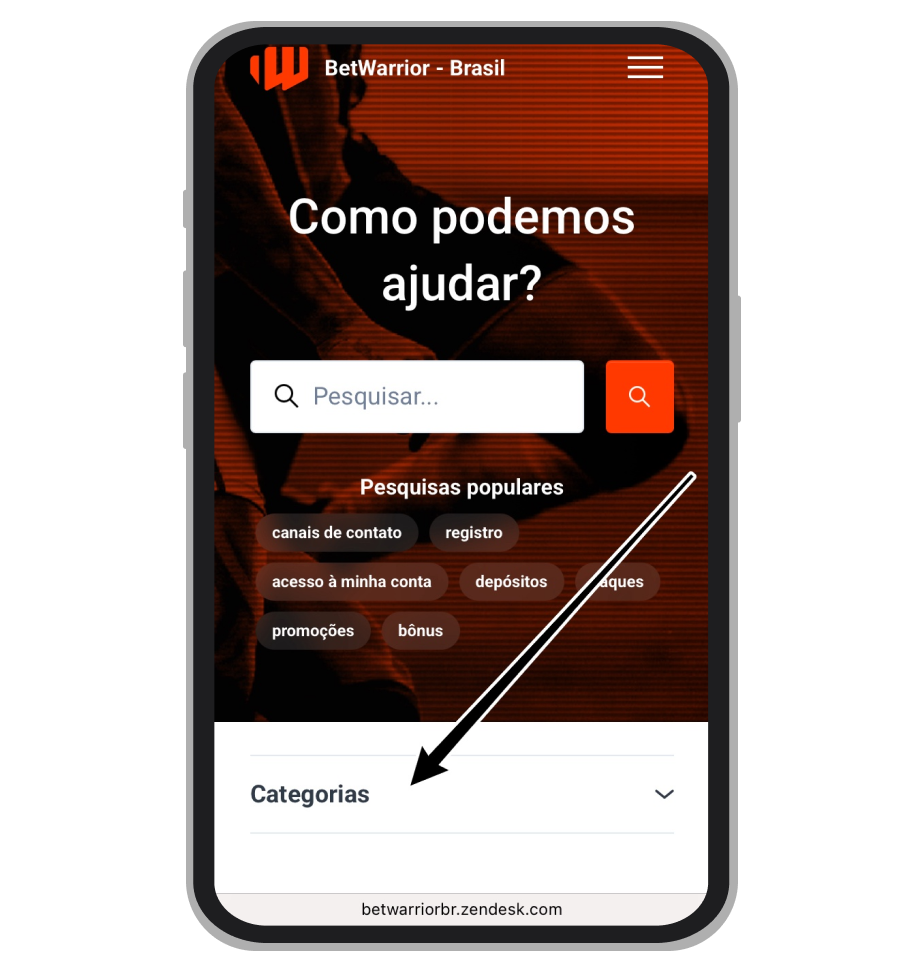 Abra “Categorias”