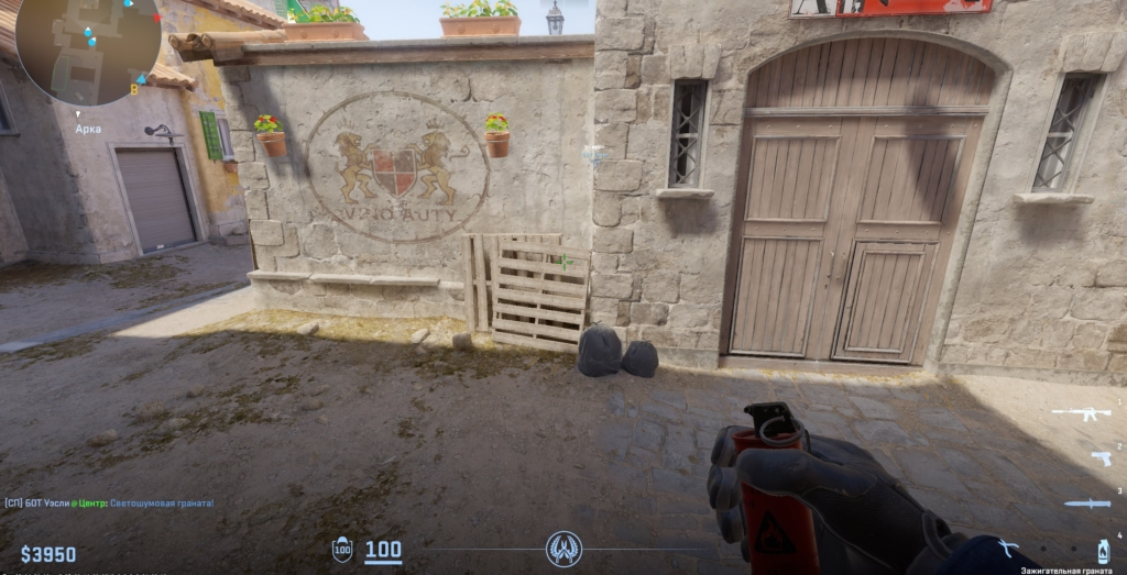 Молик для стороны защиты