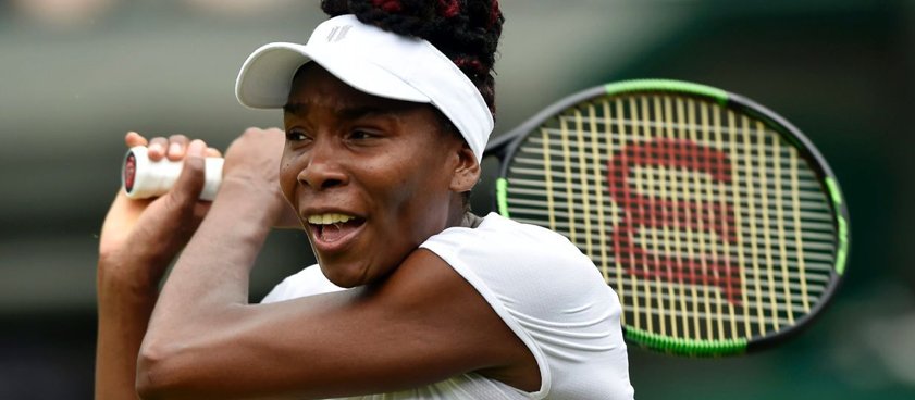 Теннис. Анжелик Кербер - Винус Уильямс. Прогноз Владимира Чаплыгина