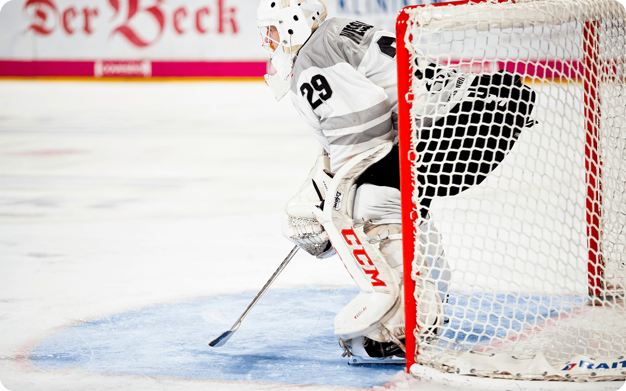 Хоккейный вратарь