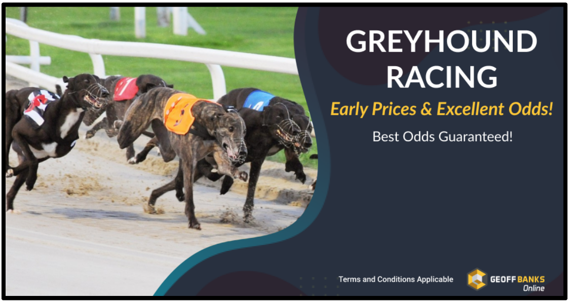 Greyhound Racing Best Odds Guaranteed Promotion