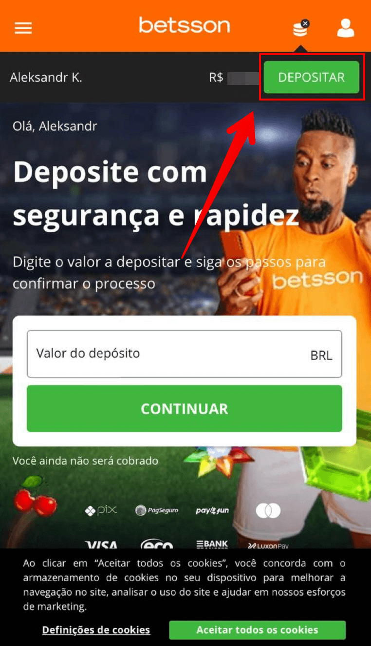 Entre na seção de pagamentos