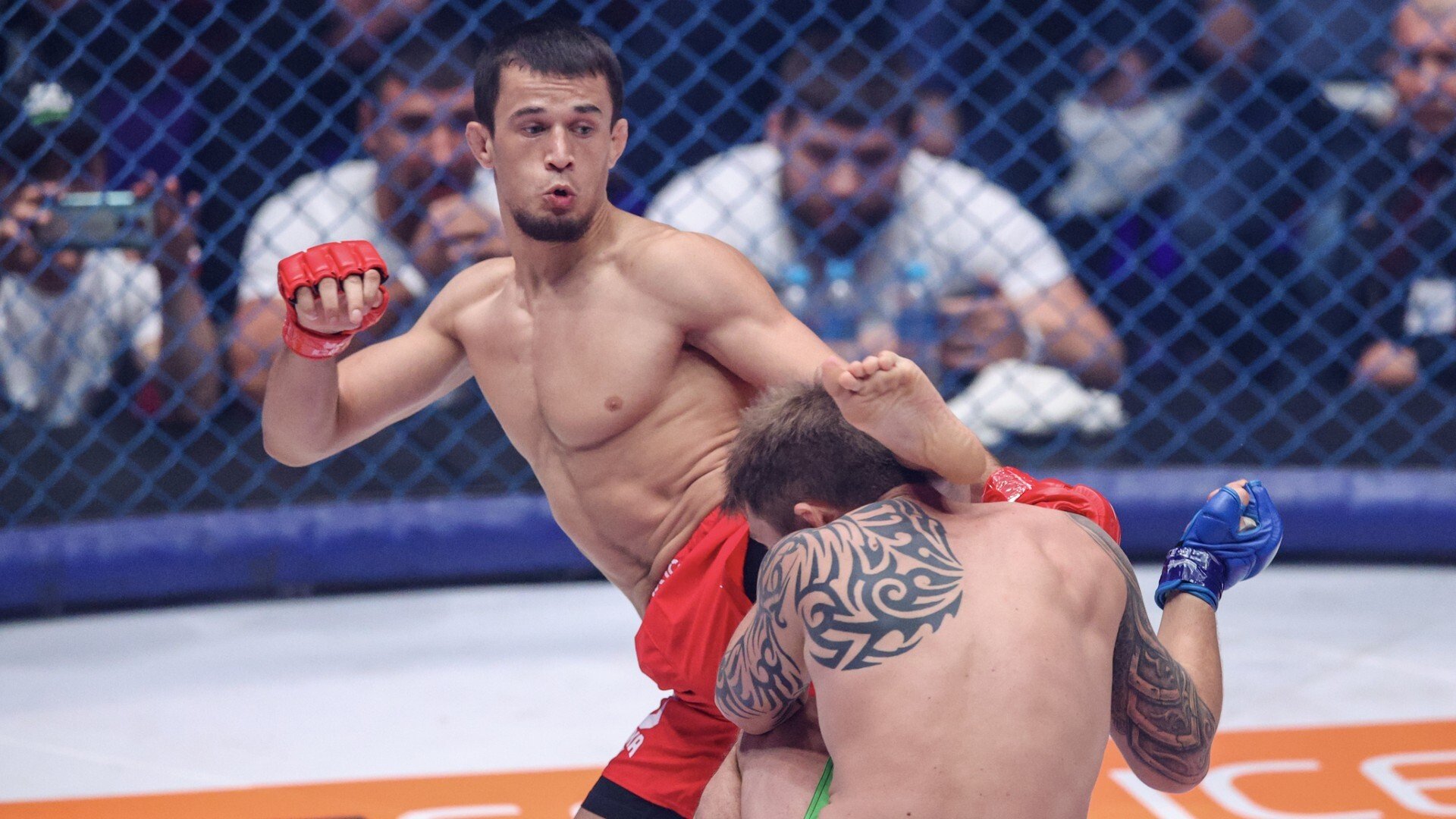 Махачев посоветовал Усману Нурмагомедову перейти в UFC: «Прыгнуть в настоящие джунгли»