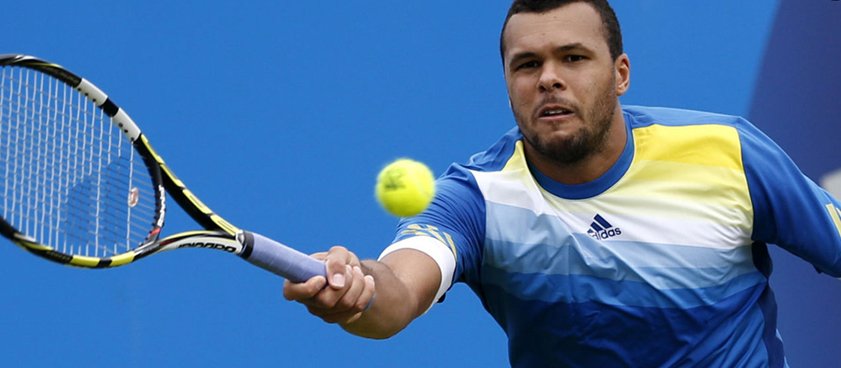 Теннис. Новак Джокович - Жо-Вильфрид Тсонга. Прогноз Дмитрия Артюшина