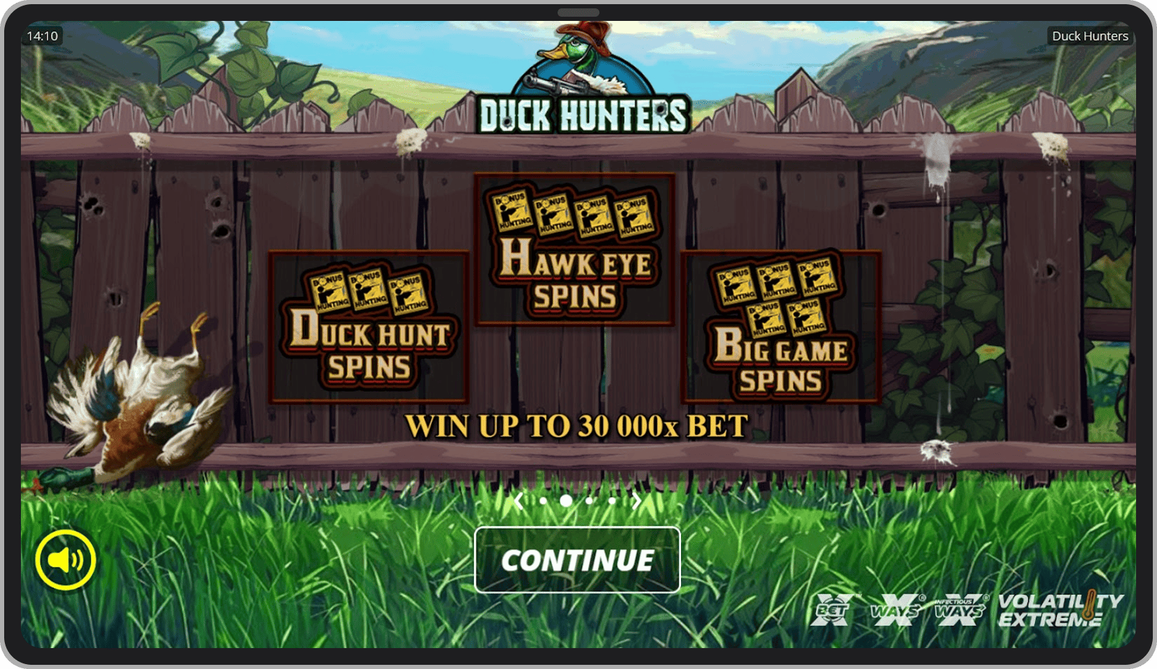 Ecran de introducere