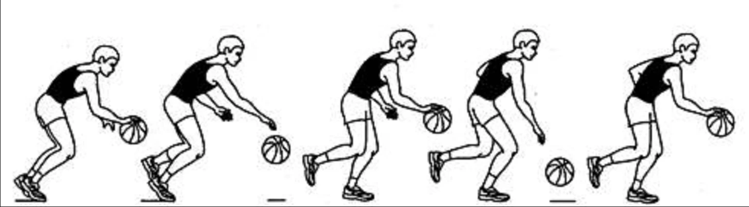 Техника выполнения ведения мяча в баскетболе