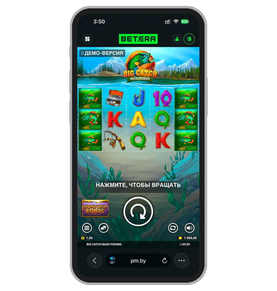 Big Catch Bass Fishing