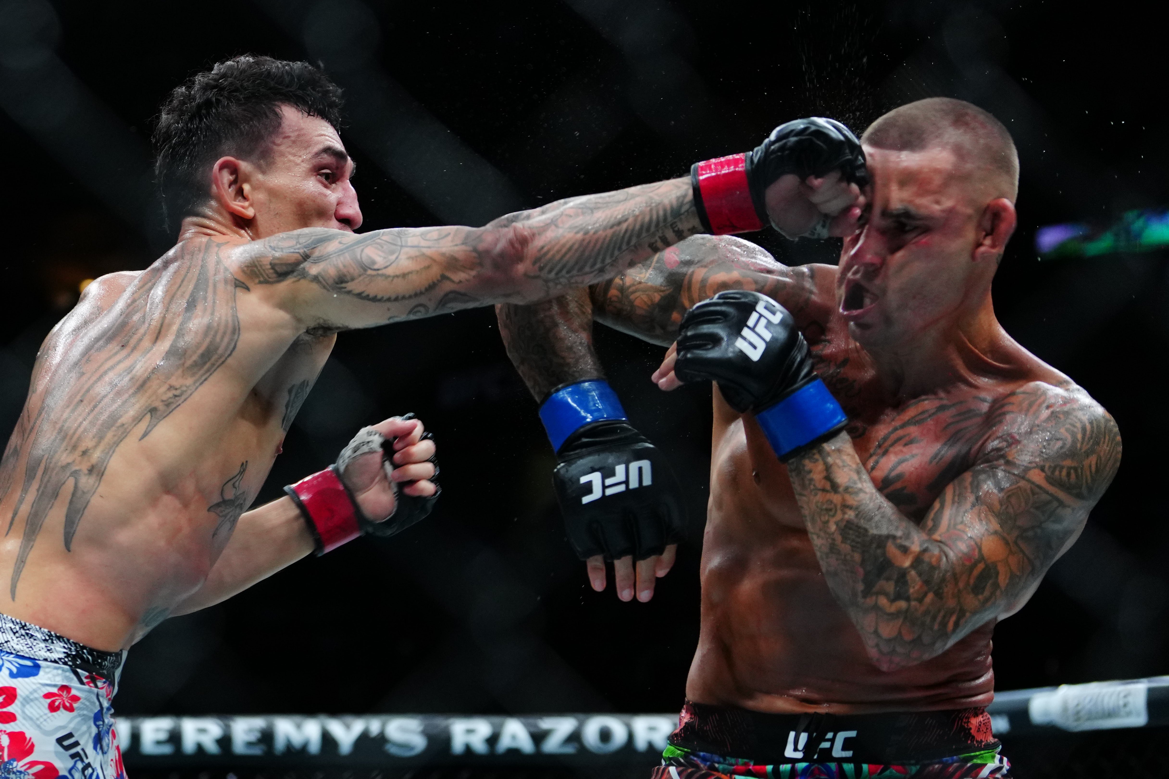 холлоуэй оливейра прогноз