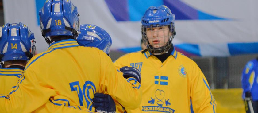 Швеция (до 19) – Россия (до 19): прогноз на хоккей с мячом от Arkadiy_bets