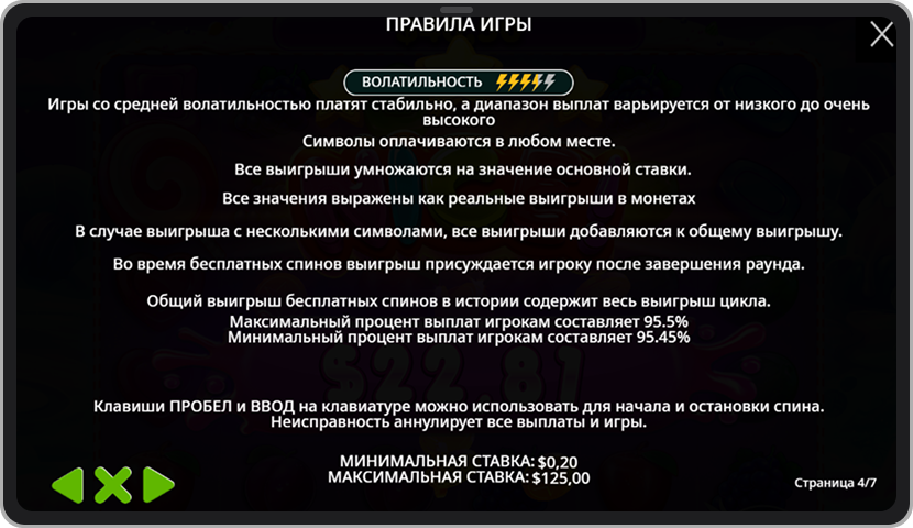 Скриншот из правил игры