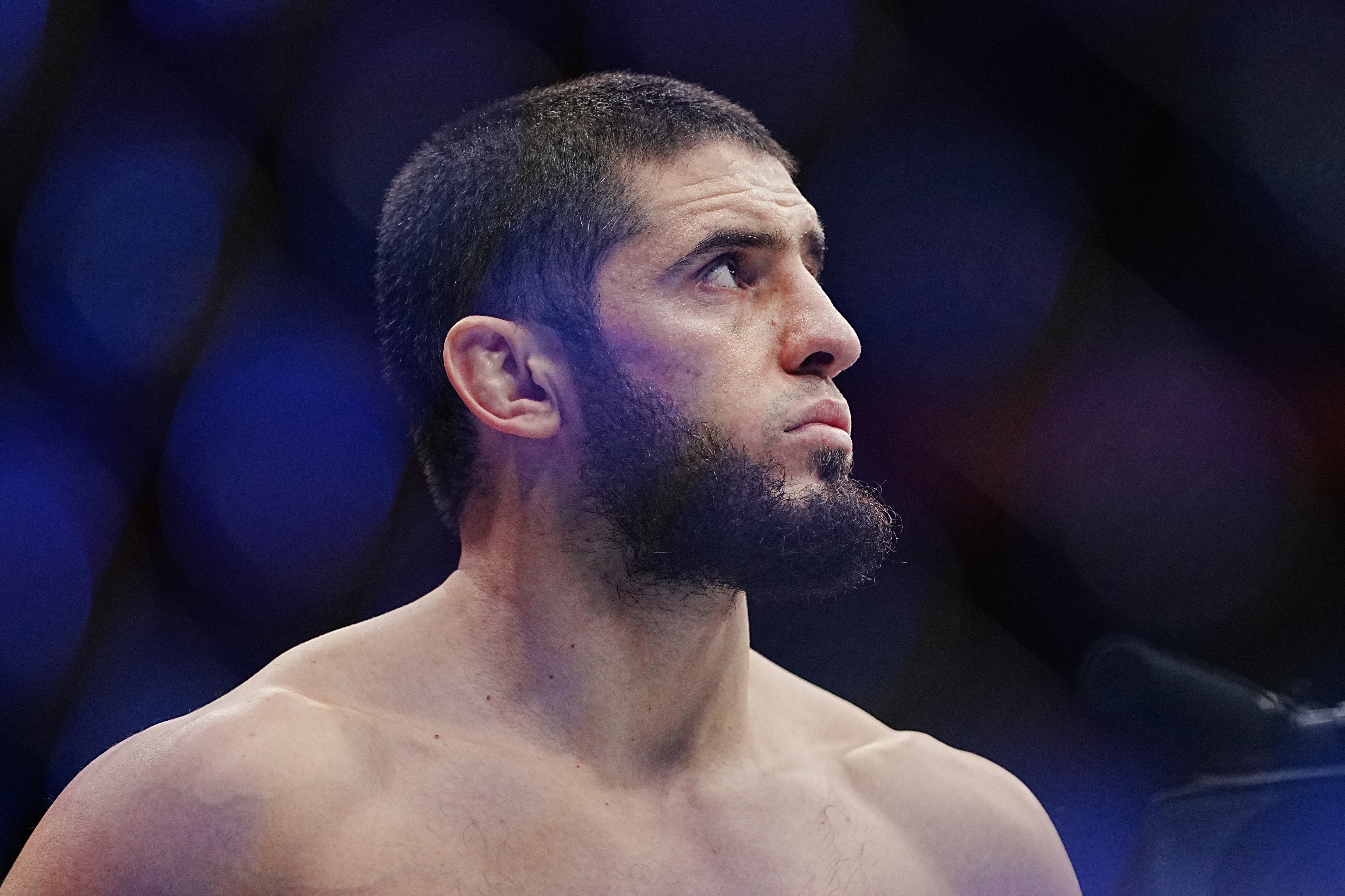 Махачев заработал более 3 млн долларов за титульный бой UFC против Маддалены.