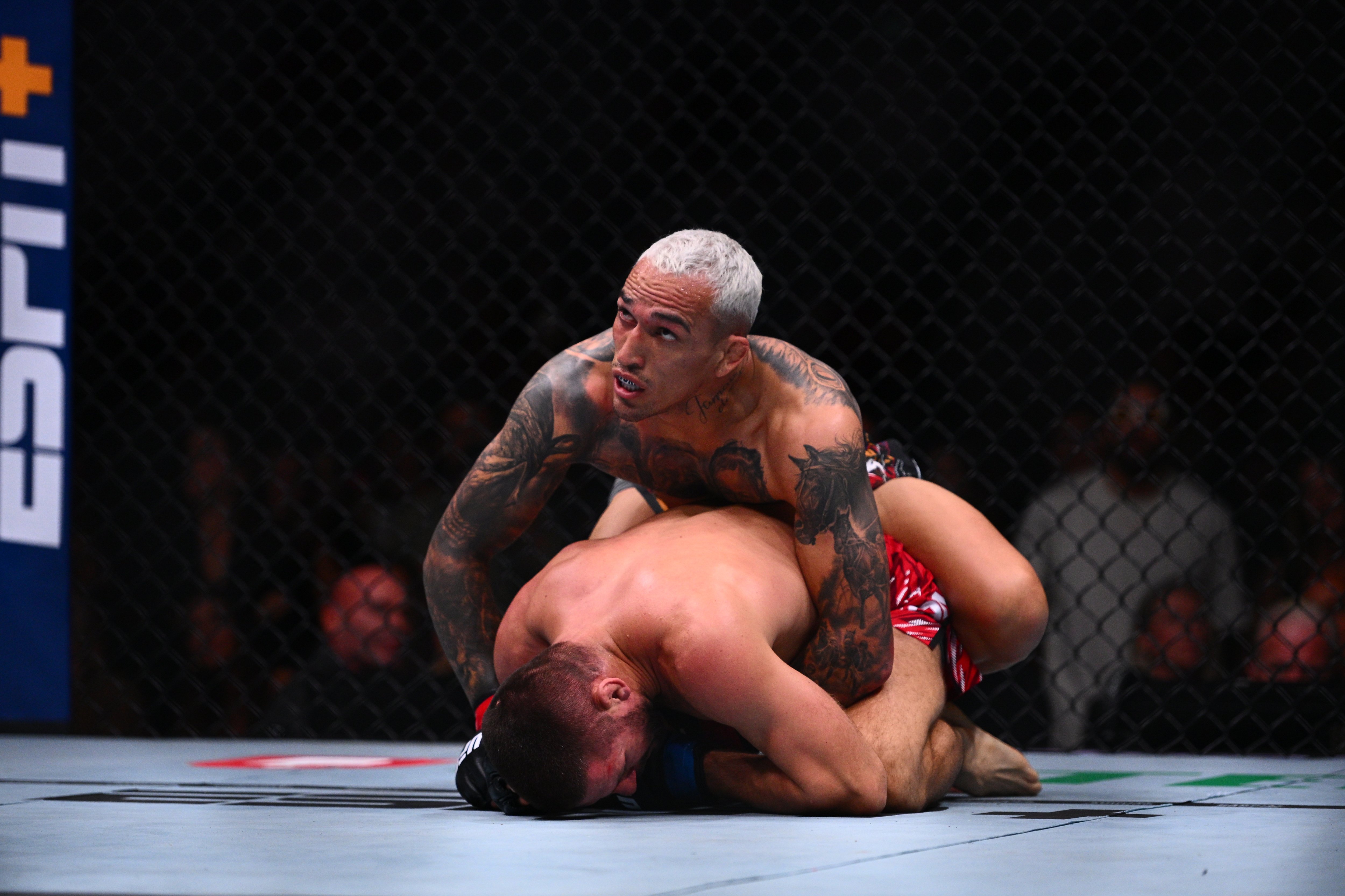 оливейра холлоуэй коэффициент