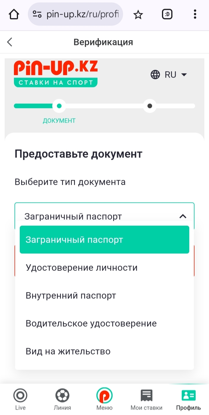 Выбор документа для идентификации