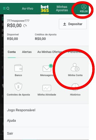 Explore o menu do perfil e a seção "Minha Conta"