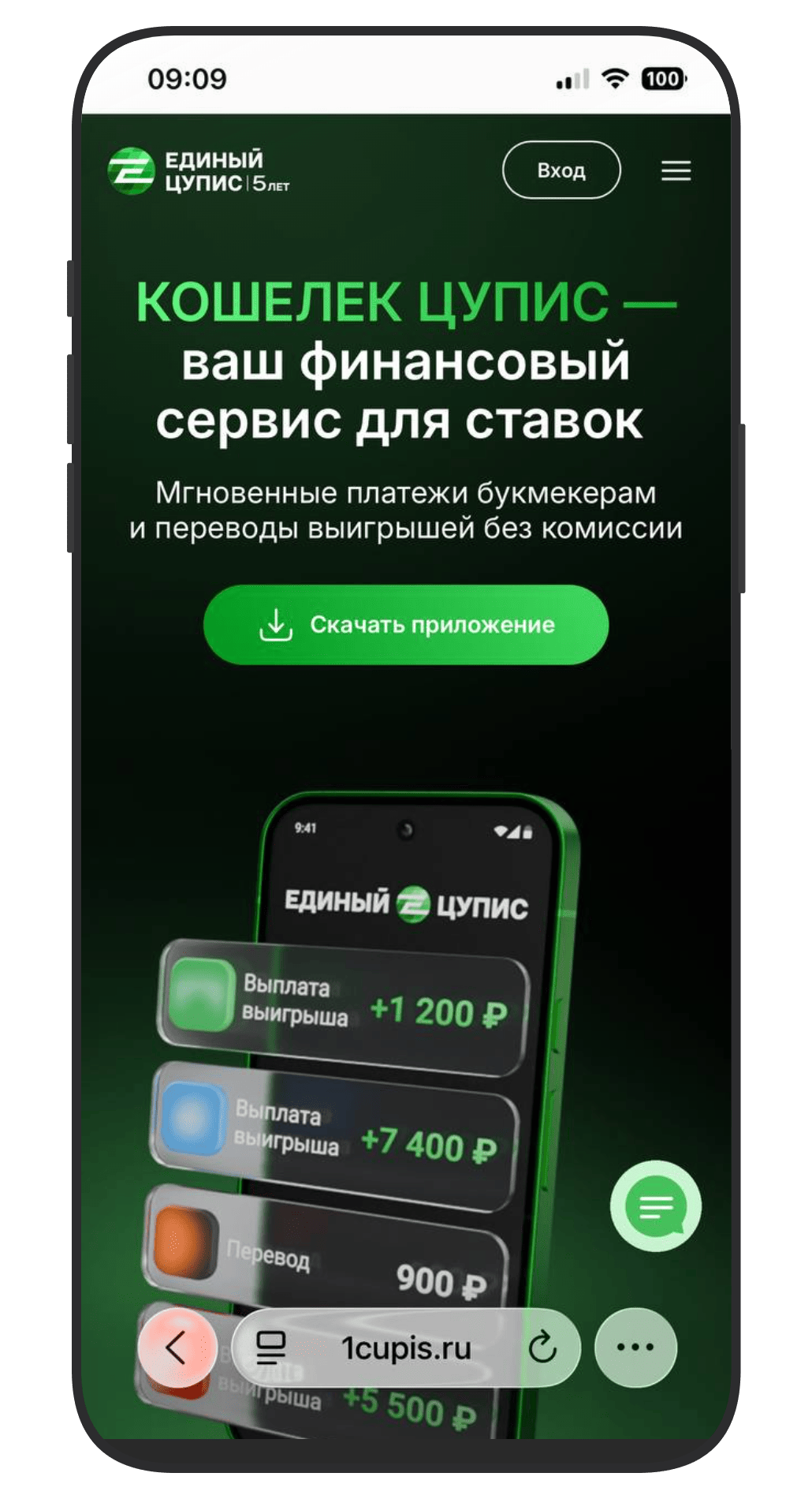Главная сайта ЦУПИС