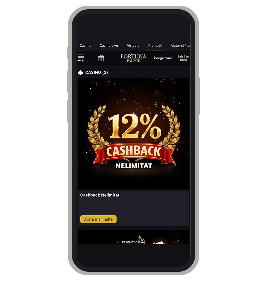 Secțiunea Promoții