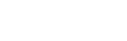 The logo of the bookmaker Lionsbet - legalbet.ng