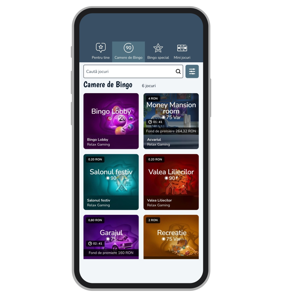 Camere Bingo Vlad Cazino