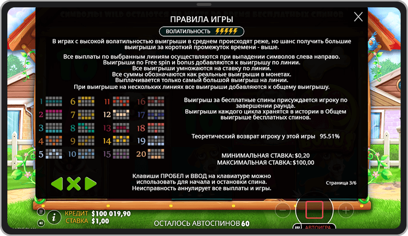 Скриншот из правил