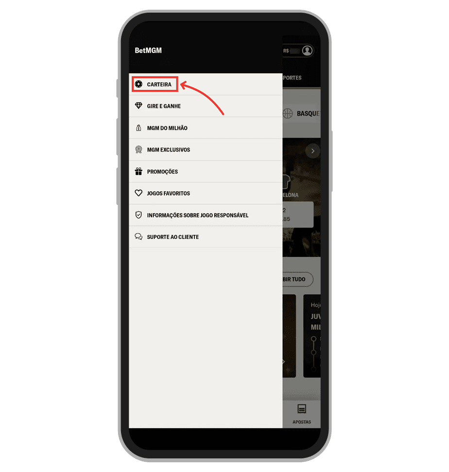 Selecione a opção “Carteira”