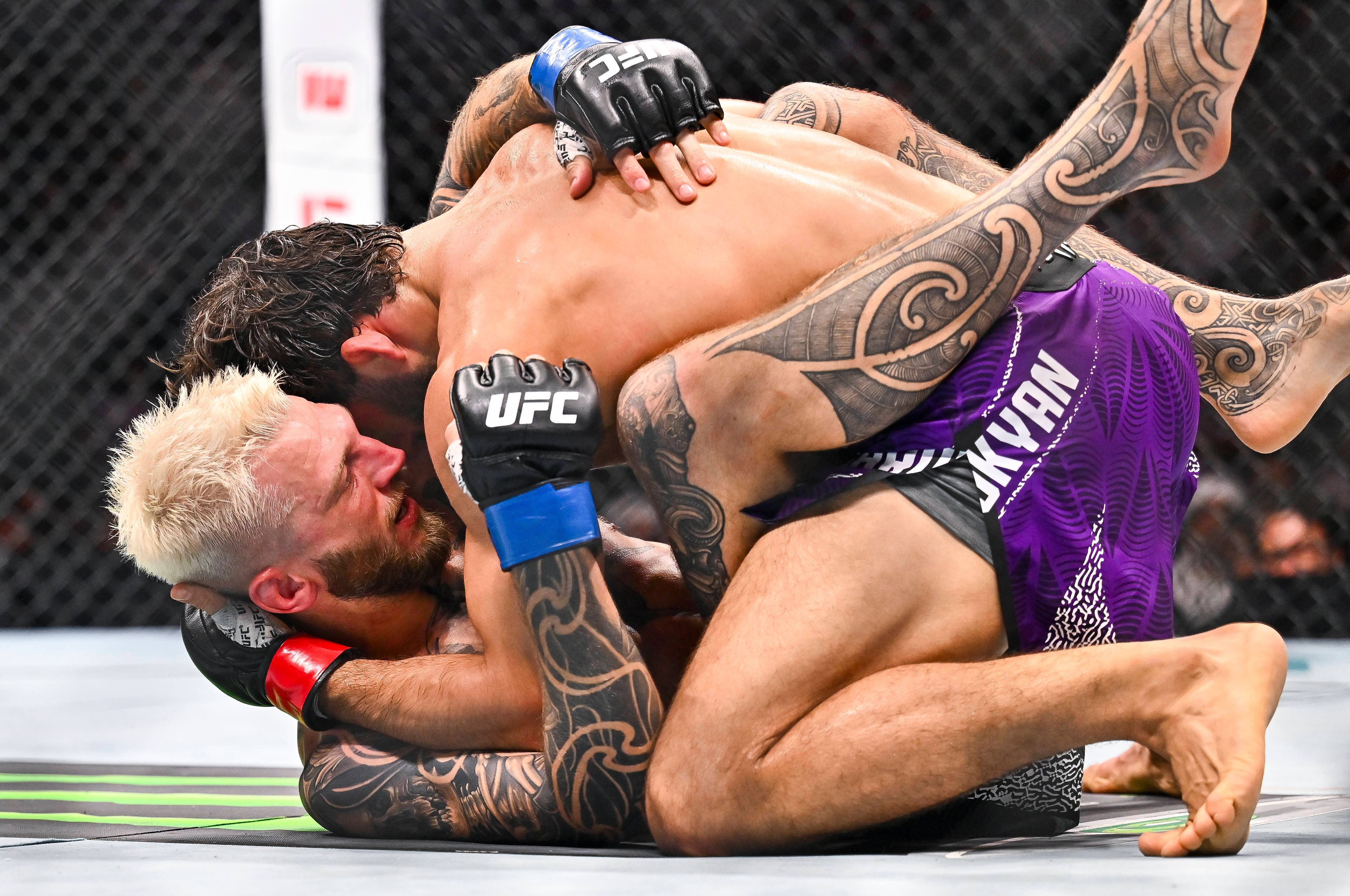 Царукян поднялся на одну строчку в рейтинге P4P UFС после победы над Хукером.