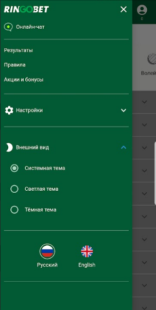 Настройки в приложении Ringobet КЗ