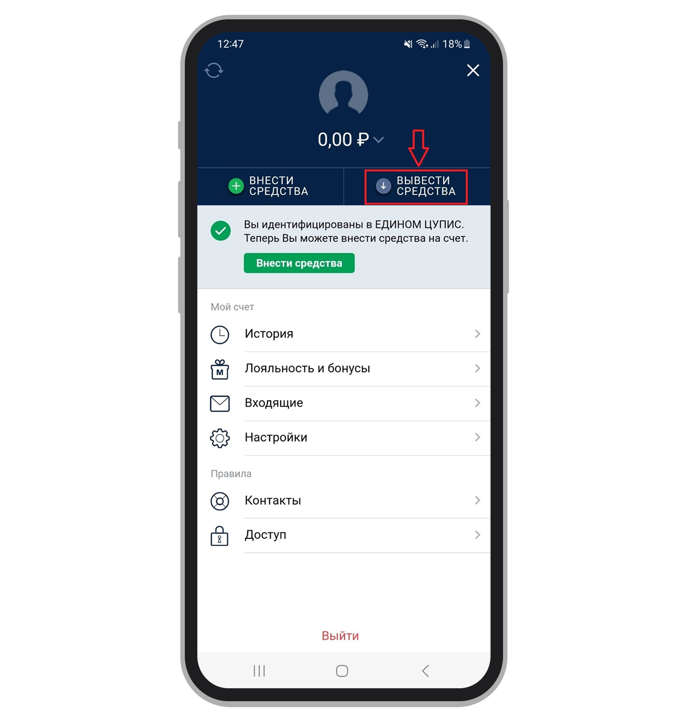 Кнопка «Вывести средства» в профиле игрока