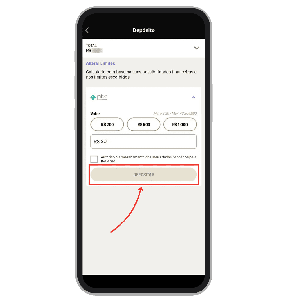 Insira o valor e confirme o pagamento