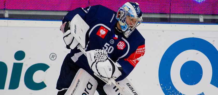 «Шкода» Пльзень – «Больцано»: прогноз на хоккей от Fan_Trotz